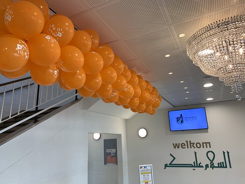  Ballonslinger Bedrukt Stop Pesten Nu Avicenna College Rotterdam