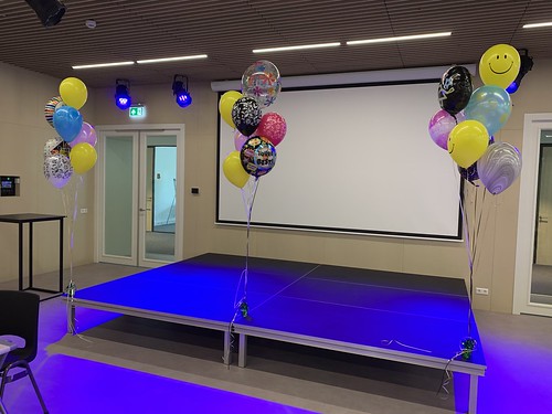  Ballonboeket Geslaagd Diplomering Thomas More Hoge School Rotterdam