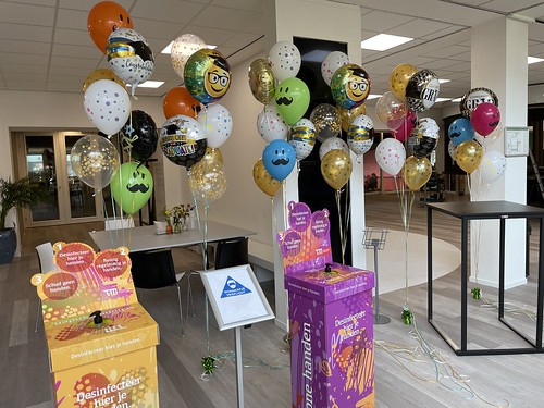  Ballonboeket Geslaagd Diplomering Thomas More Hogeschool Rotterdam