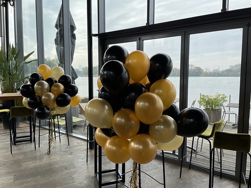  Heliumballonnen <a href='http://www.rotterdamsballonnenbedrijf.nl/plaatsen/tuin-van-de-vier-windstreken' class='w3-text-indigo'>Tuin Van De Vier Windstreken</a> Rotterdam