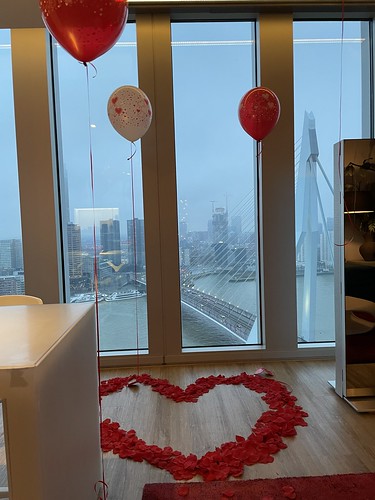  Heliumballonnen Aan Gewicht Met Hart Van Rozenblaadjes Huwelijksaanzoek Rem Koolhaas Suite <a href='http://www.rotterdamsballonnenbedrijf.nl/plaatsen/nhow' class='w3-text-indigo'>NHOW</a> Hotel Rotterdam