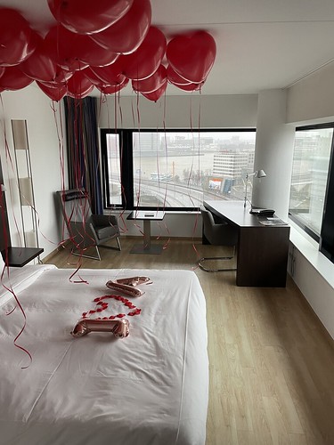  Heliumballonnen Hartballonnen Rozenblaadjes Huwelijksaanzoek Valentijnsdag Panorama Top Kamer <a href='http://www.rotterdamsballonnenbedrijf.nl/plaatsen/inntel' class='w3-text-indigo'>Inntel</a> Hotel Rotterdam