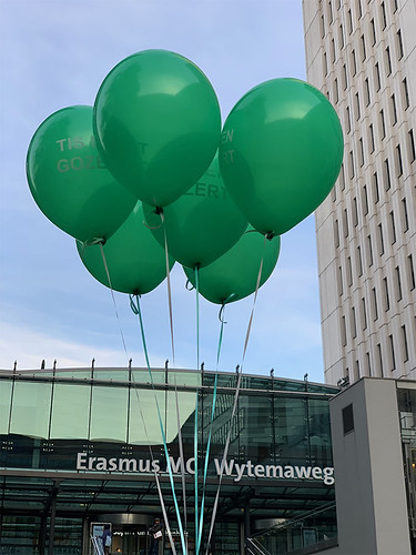  Heliumballonnen Bedrukt Erasmus Mc Sophia Kinderziekenhuis Rotterdam