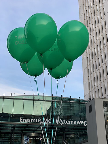  Heliumballonnen Bedrukt <a href='http://www.rotterdamsballonnenbedrijf.nl/plaatsen/erasmus-mc' class='w3-text-indigo'>Erasmus MC</a> <a href='http://www.rotterdamsballonnenbedrijf.nl/plaatsen/sophia-kinderziekenhuis' class='w3-text-indigo'>Sophia Kinderziekenhuis</a> Rotterdam