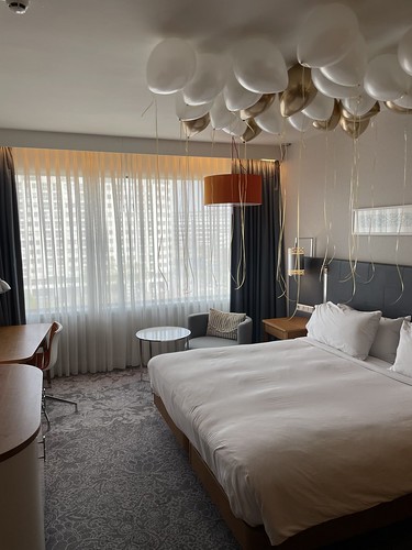  Heliumballonnen Huwelijksaanzoek King Guest Room <a href='http://www.rotterdamsballonnenbedrijf.nl/plaatsen/hilton' class='w3-text-indigo'>Hilton</a> Hotel Rotterdam