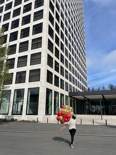  Heliumballonnen Lee Towers Rotterdam