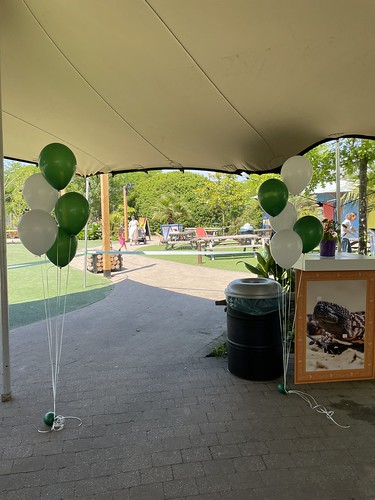  Tafeldecoratie 5ballonnen Gronddecoratie Zoomeravond Voor Alle Zorg Medewerkers Van Rotterdam Amazonica Plein Zoo <a href='http://www.rotterdamsballonnenbedrijf.nl/plaatsen/diergaarde-blijdorp' class='w3-text-indigo'>Diergaarde Blijdorp</a> Rotterdam