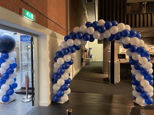  Ballonboog 6m Diplomering Geslaagd <a href='http://www.rotterdamsballonnenbedrijf.nl/plaatsen/albeda-college' class='w3-text-indigo'>Albeda College</a> Zusterhennekeplein Rotterdam