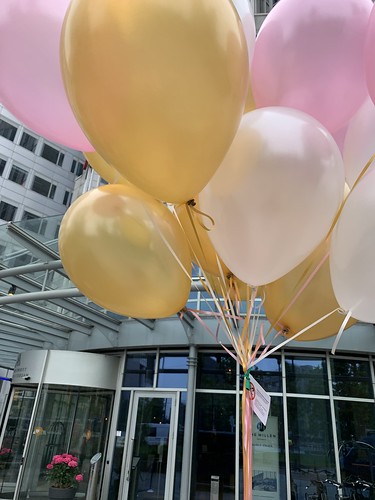  Heliumballonnen Marriot Hotel <a href='http://www.rotterdamsballonnenbedrijf.nl/plaatsen/weena' class='w3-text-indigo'>Weena</a> Rotterdam
