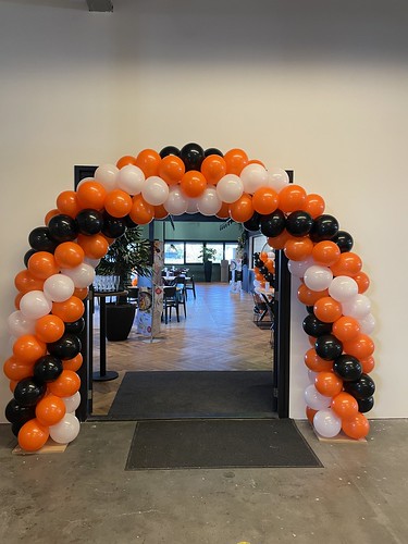  Ballonboog 6m Polyplastic Rotterdam