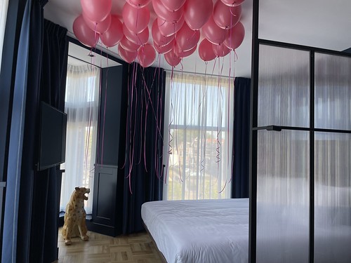 Heliumballonnen Super Deluxe Kamer <a href='http://www.rotterdamsballonnenbedrijf.nl/plaatsen/supernova-hotel' class='w3-text-indigo'>Supernova Hotel</a> Rotterdam