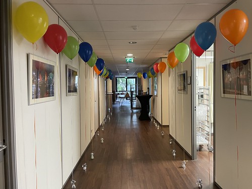  Heliumballonnen Aan Ballongewicht Park Medisch Centrum Rotterdam