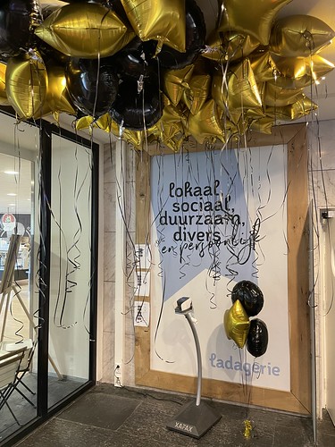  Heliumballonnen Folieballonnen Hogeschool Museumpark Rotterdam