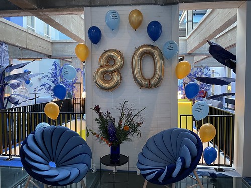  Heliumboog Bedrukt Folieballon Cijfer 80 Verjaardag Blue Patio Bar <a href='http://www.rotterdamsballonnenbedrijf.nl/plaatsen/bruno-room-mate' class='w3-text-indigo'>Bruno Room Mate</a> Hotel Rotterdam