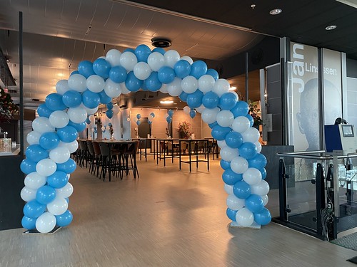  Ballonboog 6m Bedrijfsfeest Hoogvliet Supermarkten Jan Linssen Zaal <a href='http://www.rotterdamsballonnenbedrijf.nl/plaatsen/maasgebouw' class='w3-text-indigo'>Maasgebouw</a> De Kuip <a href='http://www.rotterdamsballonnenbedrijf.nl/plaatsen/feyenoord' class='w3-text-indigo'>Feyenoord</a> Rotterdam