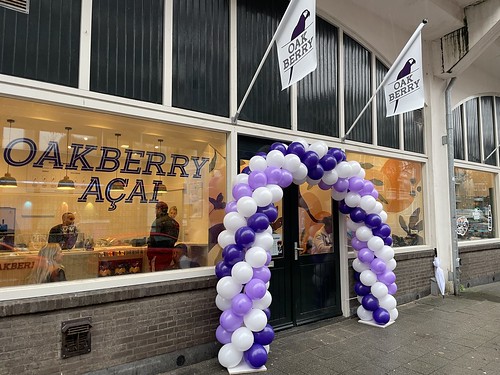  Ballonboog 6m Oakberry Acai <a href='http://www.rotterdamsballonnenbedrijf.nl/plaatsen/hofbogen' class='w3-text-indigo'>Hofbogen</a> Rotterdam