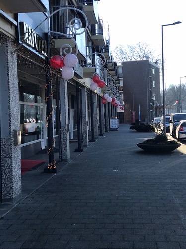  Ballontoef Valentijnsdag Asterloplein Rotterdam