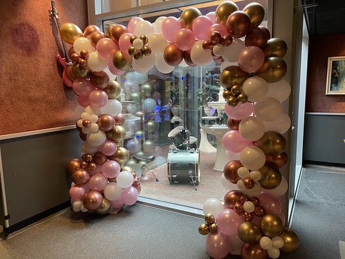  Organische Ballonboog Party Centrum De Flamingo Hoogvliet Rotterdam