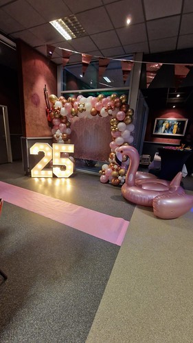  Organische Ballonboog Party Centrum De Flamingo Hoogvliet Rotterdam