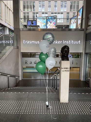  Ballonboeket Beterschap Sterke You Ll Never Walk Alone <a href='http://www.rotterdamsballonnenbedrijf.nl/plaatsen/erasmus-mc' class='w3-text-indigo'>Erasmus MC</a> Kanker Instituut Rotterdam