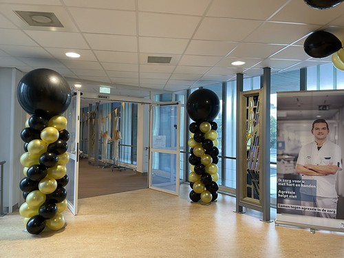  Ballonpilaar Breed Rond Opening Verbouwing Intensive Care <a href='http://www.rotterdamsballonnenbedrijf.nl/plaatsen/ikazia' class='w3-text-indigo'>Ikazia</a> Ziekenhuis Rotterdam
