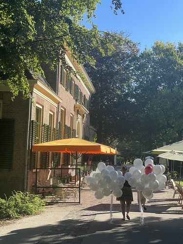  Heliumballonnen Huwelijk Trouwen Bruiloft Het <a href='http://www.rotterdamsballonnenbedrijf.nl/plaatsen/heerenhuys' class='w3-text-indigo'>Heerenhuys</a> <a href='http://www.rotterdamsballonnenbedrijf.nl/plaatsen/dudok' class='w3-text-indigo'>Dudok</a> In Het Park Rotterdam