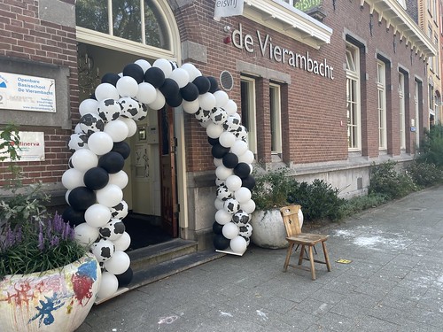  Ballonboog 6m Thema Koeien Kinderboerderij Kinderopvang Bommes Obs De Vierambacht Rotterdam