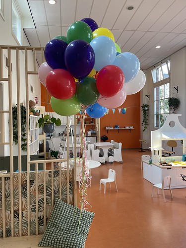  Heliumballonnen Kinderopvang Bonmes Obs De Vierambacht Rotterdam