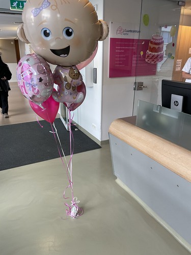  Ballonboeket Geboortecentrum <a href='http://www.rotterdamsballonnenbedrijf.nl/plaatsen/sophia-kinderziekenhuis' class='w3-text-indigo'>Sophia Kinderziekenhuis</a> Rotterdam