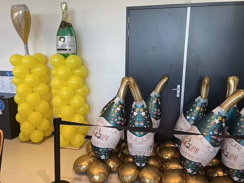  Ballonpilaar Tafeldecoratie Zonder Helium Nieuwjaarsreceptie Erasmus Sport <a href='http://www.rotterdamsballonnenbedrijf.nl/plaatsen/erasmus-universiteit' class='w3-text-indigo'>Erasmus Universiteit</a> Rotterdam