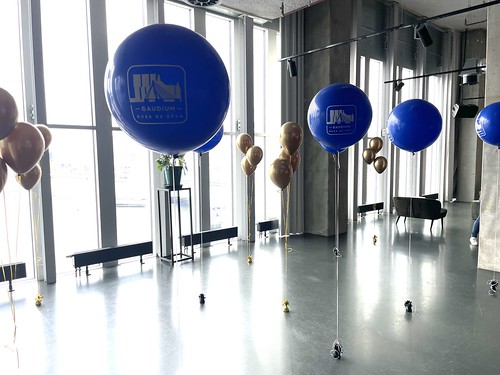  Gronddecoratie 3ballonnen Cloudbuster Bedrukt Gaudium Lustrum De Loft <a href='http://www.rotterdamsballonnenbedrijf.nl/plaatsen/nhow' class='w3-text-indigo'>NHOW</a> Hotel Rotterdam