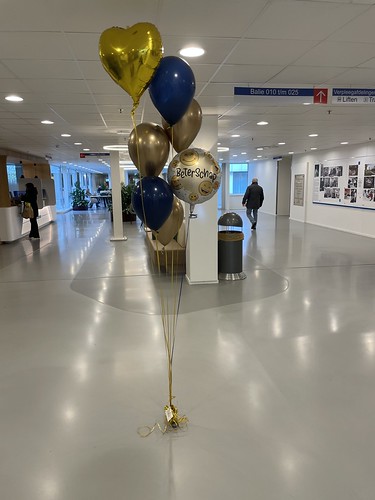  Ballonboeket Beterschap Sint <a href='http://www.rotterdamsballonnenbedrijf.nl/plaatsen/franciscus-gasthuis' class='w3-text-indigo'>Franciscus Gasthuis</a> Rotterdam