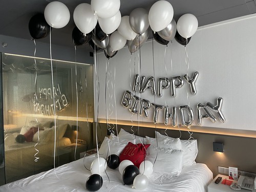  Heliumballonnen Folieballonnen Happy Birthday Verjaardag Premium Room With Skyline View <a href='http://www.rotterdamsballonnenbedrijf.nl/plaatsen/nhow' class='w3-text-indigo'>NHOW</a> Hotel Rotterdam