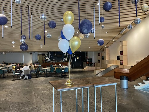  Tafeldecoratie 6 Ballonnen <a href='http://www.rotterdamsballonnenbedrijf.nl/plaatsen/jeugdtheater-hofplein' class='w3-text-indigo'>Jeugdtheater Hofplein</a> Rotterdam