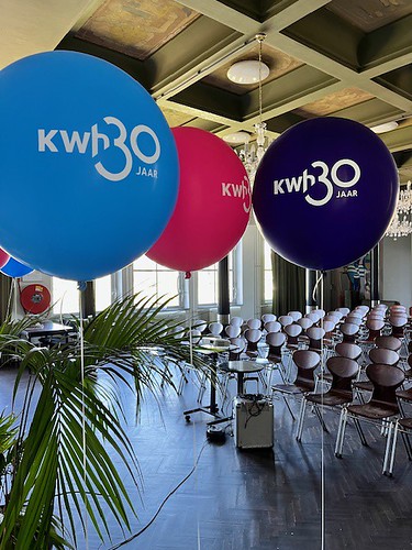  Cloudbuster Bedrukt <a href='http://www.rotterdamsballonnenbedrijf.nl/plaatsen/de-machinist' class='w3-text-indigo'>De Machinist</a> Rotterdam