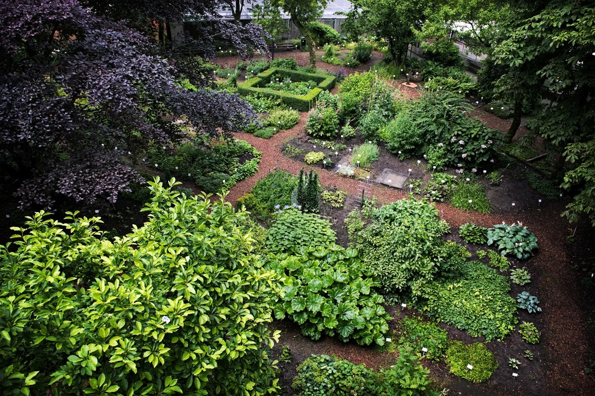 BOTANISCHE TUIN AFRIKAANDERWIJK