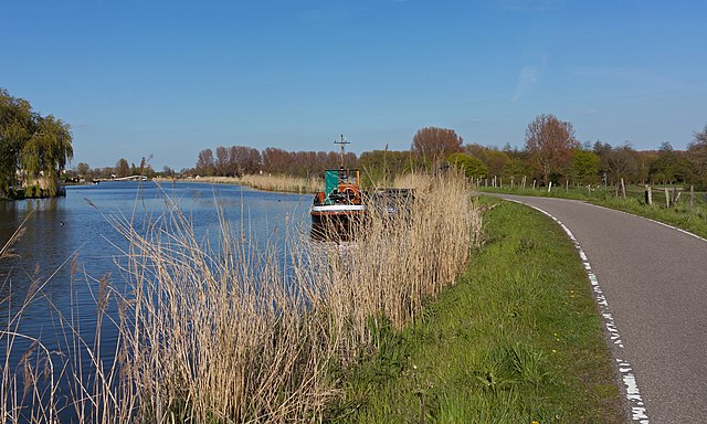 DE ROTTE ROTTERDAM