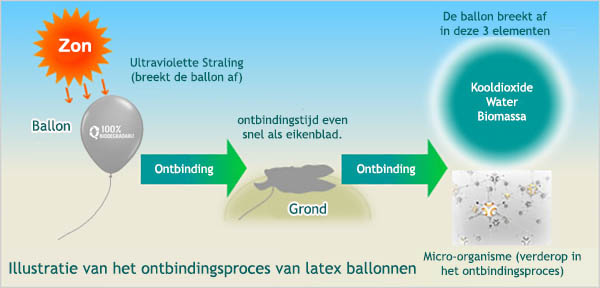 ILLUSTRATIE ONTBINDINGSPROCES LATEX BALLONNEN