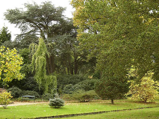 TROMPENBURG GARDENS & ARBORETUM