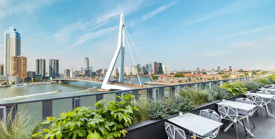 View Gastrobar Elvy