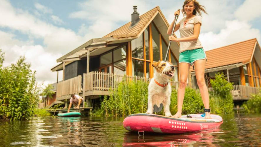 De Reeuwijkse Plassen