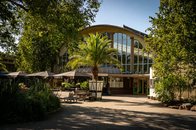 ZAAL HUREN DIERGAARDE BLIJDORP