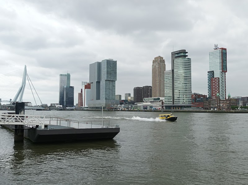 City Camping Rotterdam