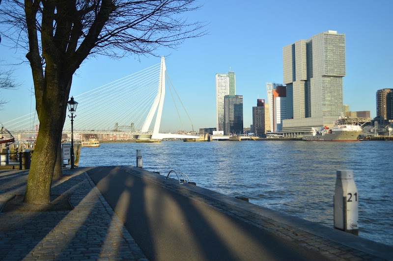 Hostel ROOM Rotterdam