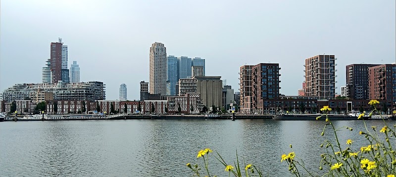 Thuis bij Schell