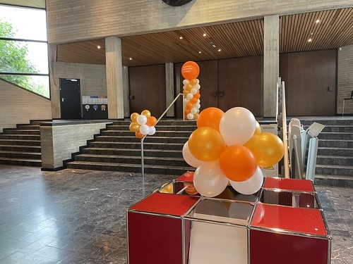 Ballonpilaar Breed Rond Bedrukt Ballontoef Erasmus Building Erasmus Universiteit Rotterdam