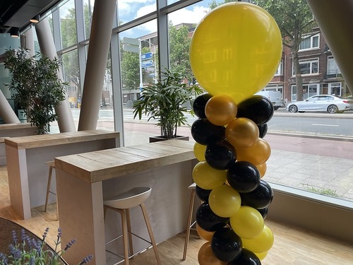 Ballonpilaar Breed Rond Paviljoen Hoge School Museumpark Rotterdam