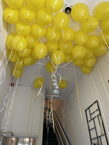 Heliumballonnen Kinderdagverblijf Bonmes Rotterdam
