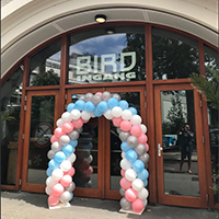 Balloon Arch single door