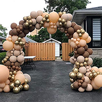 Half Balloon Arch Organic